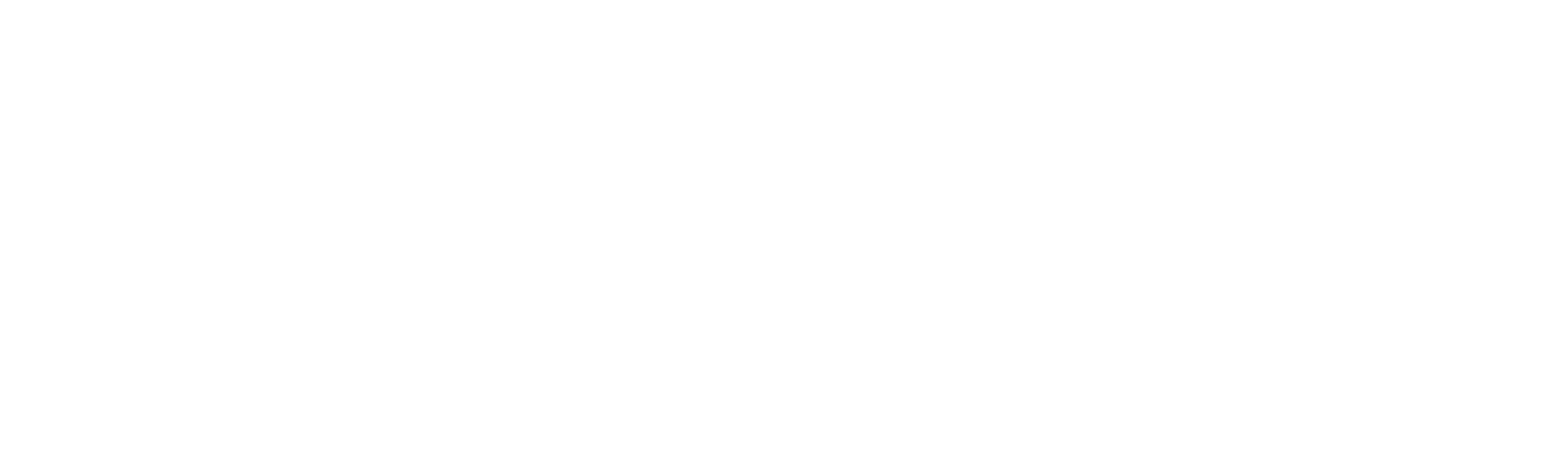 Iron Lady Fitness